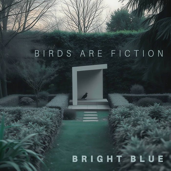Birds are fiction Trio